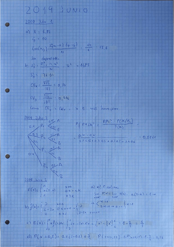 Miniatura del documento 2019Julio-solucion.pdf