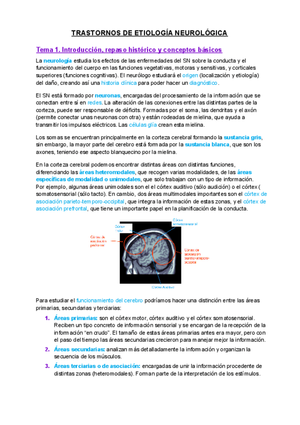 Miniatura del documento 1.pdf