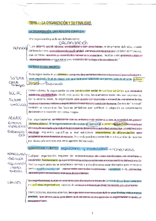 Miniatura del documento Tema-1-DOE.pdf