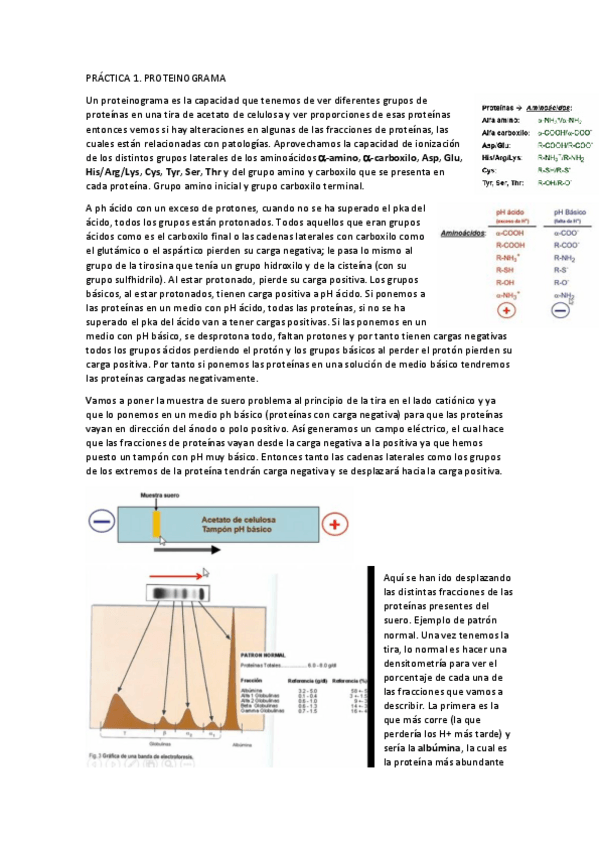 Miniatura del documento PRACTICAS-BQ.pdf