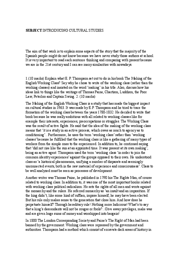 Miniatura del documento ESSAY-CULTURAL-STUDIES.pdf