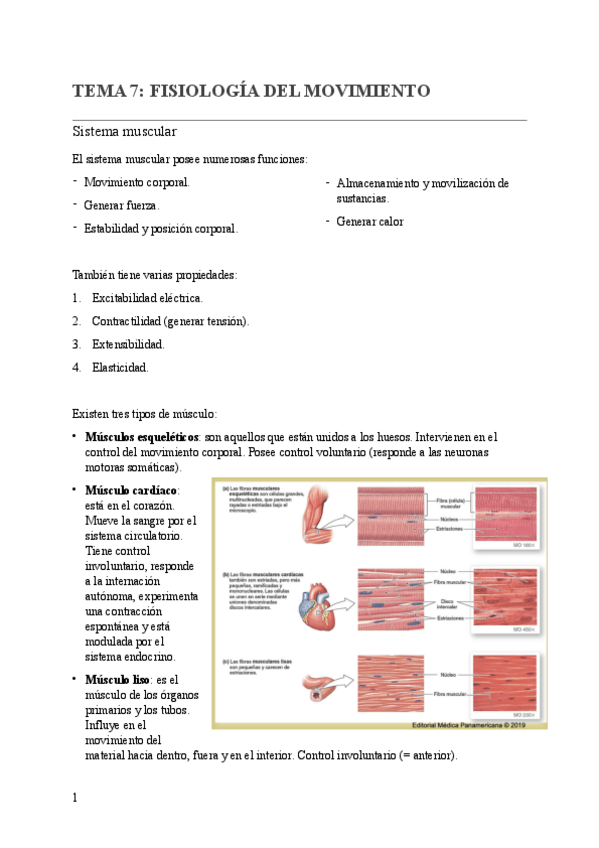 Miniatura del documento TEMA-7-FISIOLOGIA-DEL-MOVIMIENTO.pdf