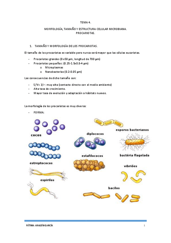 Miniatura del documento TEMA 4.pdf