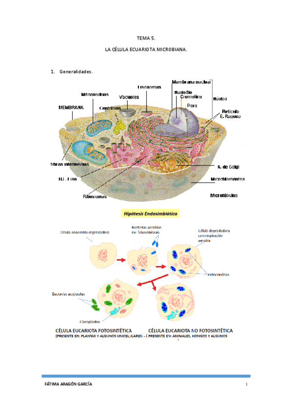 Miniatura del documento Tema 5.pdf