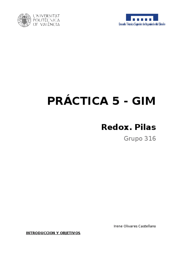 Miniatura del documento MEMORIA-5.docx