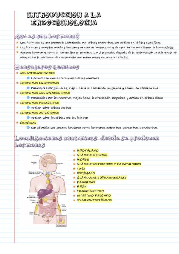 Miniatura del documento Introduccion-a-la-endocrinologia.pdf