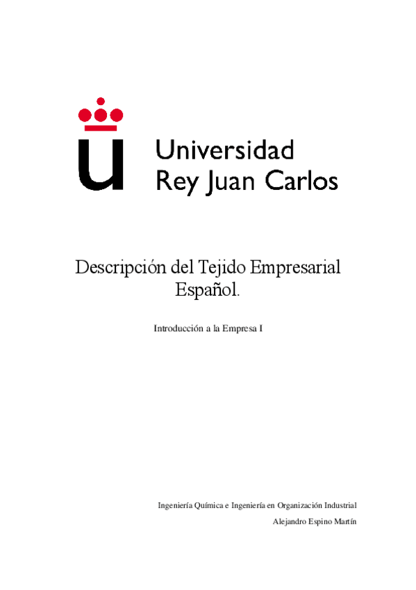 Miniatura del documento Descripcion-del-Tejido-Empresarial-Espanol.pdf