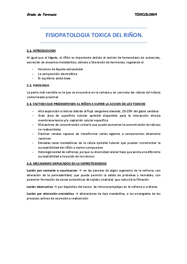 Miniatura del documento riñon.pdf