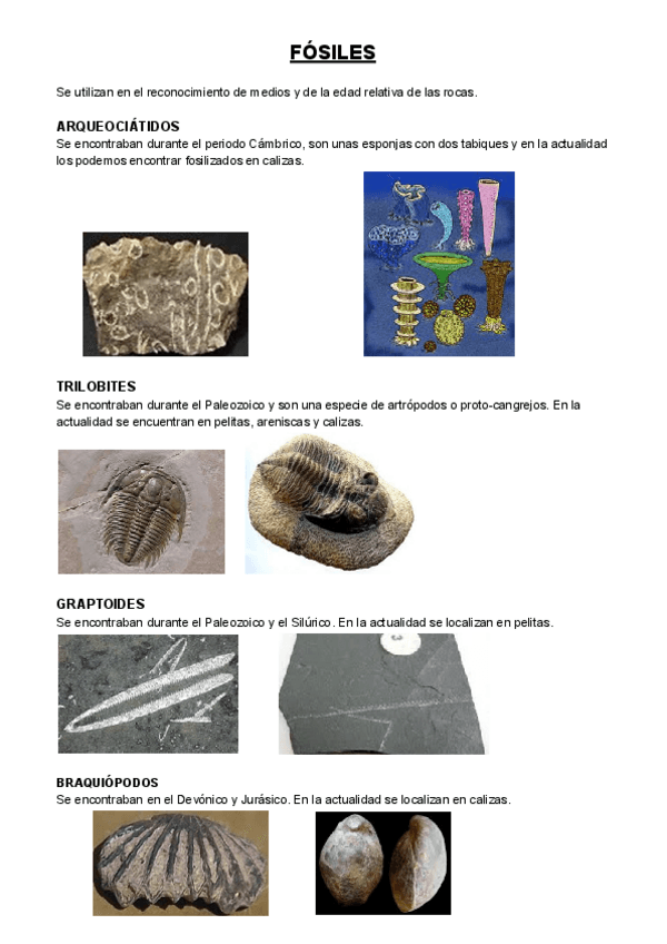 Miniatura del documento E.pdf