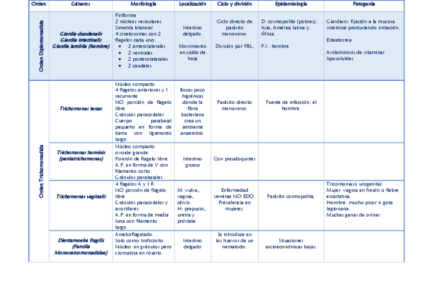 Miniatura del documento TABLA COMPLETA PROTOZOOS.pdf