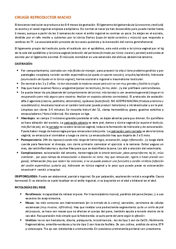 Miniatura del documento Cirugia-reproductor.pdf