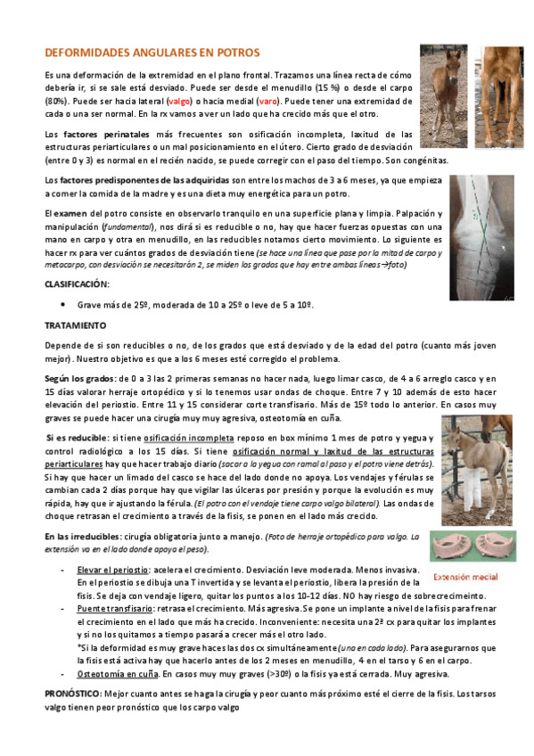 Miniatura del documento Deformidades-potro.pdf