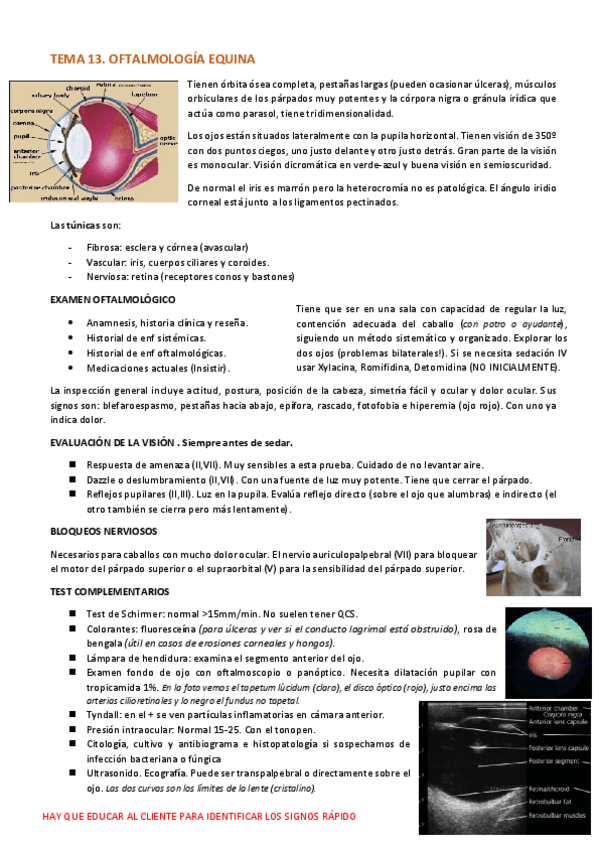 Miniatura del documento Oftalmo.pdf