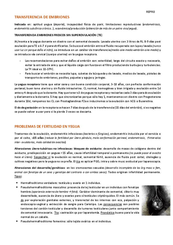 Miniatura del documento Repro.pdf