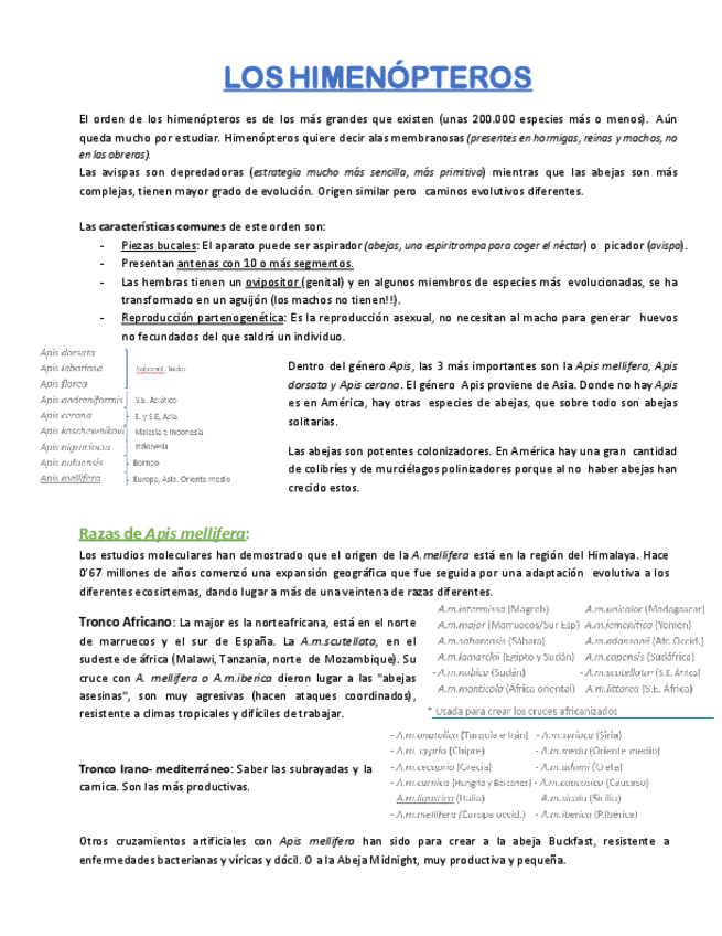 Miniatura del documento API.pdf