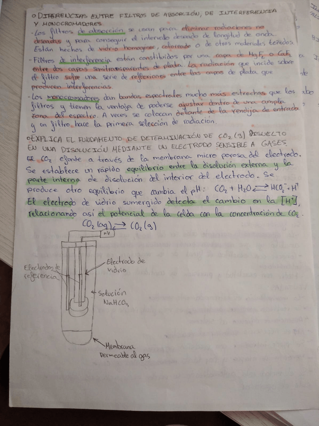 Miniatura del documento WhatsApp-Image-2021-06-20-at-19.jpg