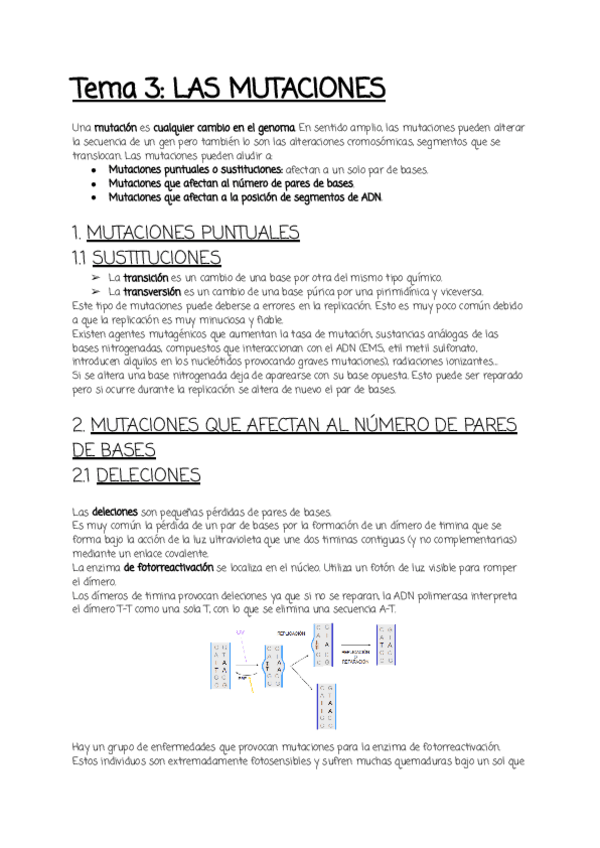 Miniatura del documento Tema-3.pdf
