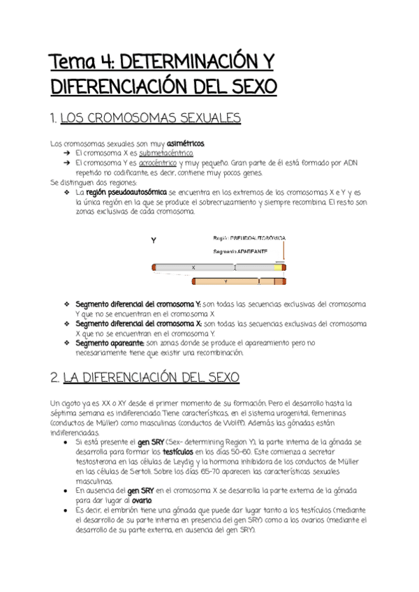 Miniatura del documento Tema-4.pdf