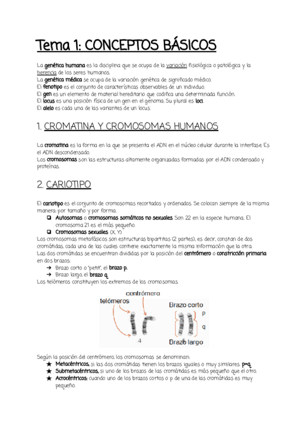 Miniatura del documento Tema-1.pdf