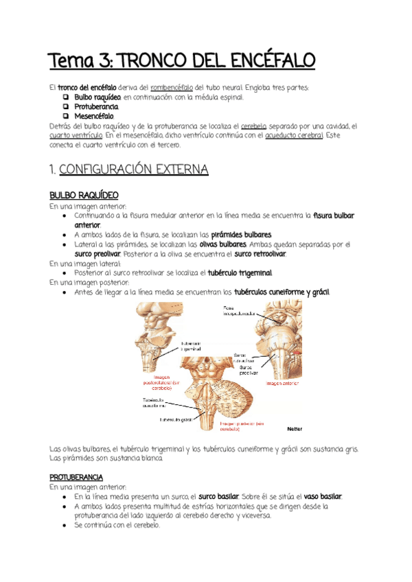 Miniatura del documento Tema-3.pdf