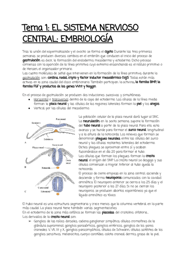 Miniatura del documento Tema-1.pdf