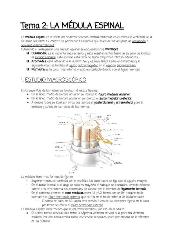 Miniatura del documento Tema-2.pdf
