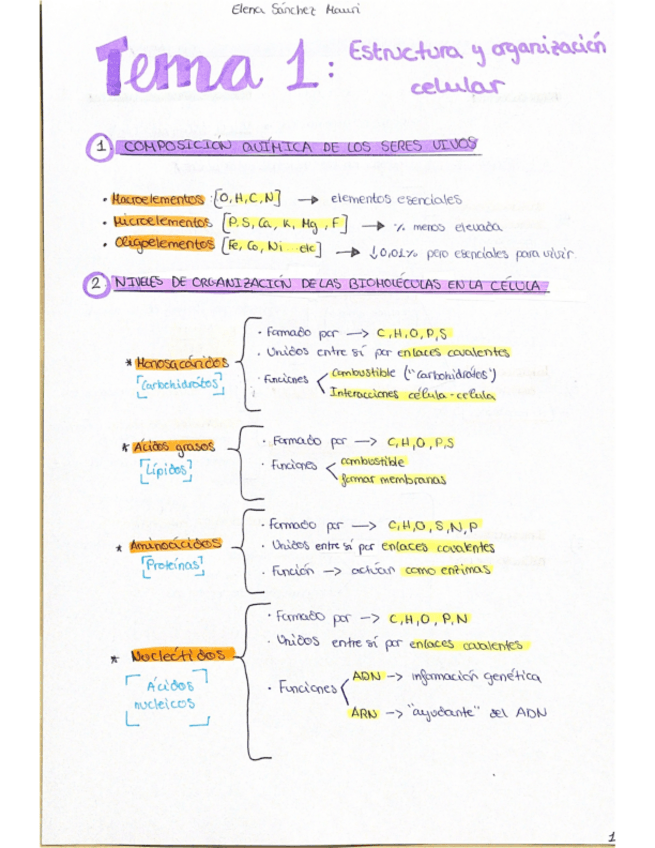 Miniatura del documento Todo-Bioquimica-ESM-Resumen.pdf