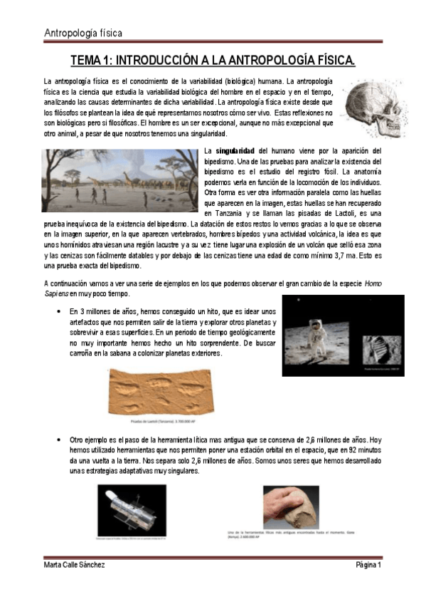 Miniatura del documento ilovepdfmerged-4.pdf