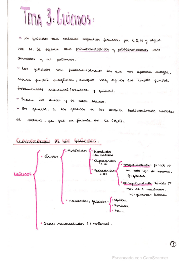 Miniatura del documento GLUCIDOS.pdf