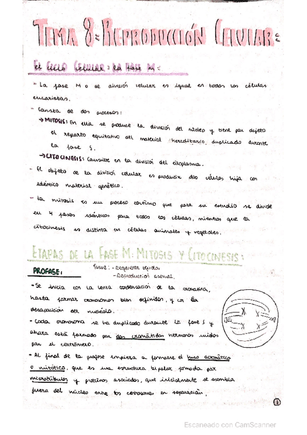 Miniatura del documento REPRODUCCION-CELULAR.pdf