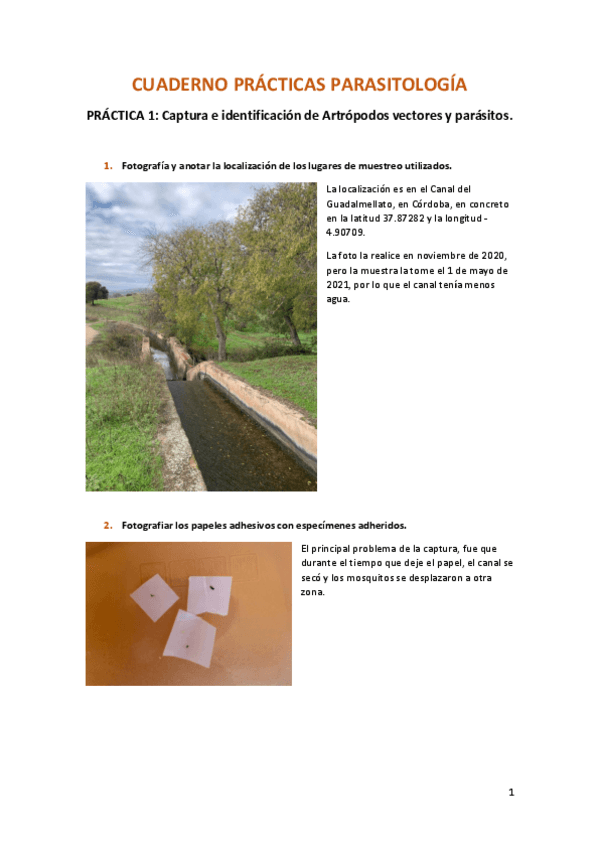 Miniatura del documento practicas-parasitologia.pdf