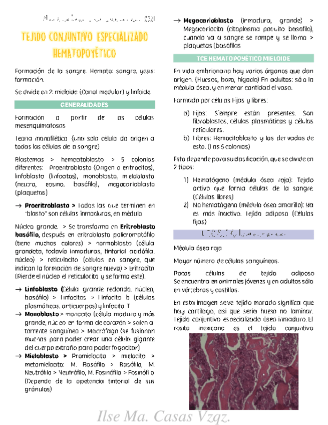 Miniatura del documento TCEH-y-de-transporte.pdf