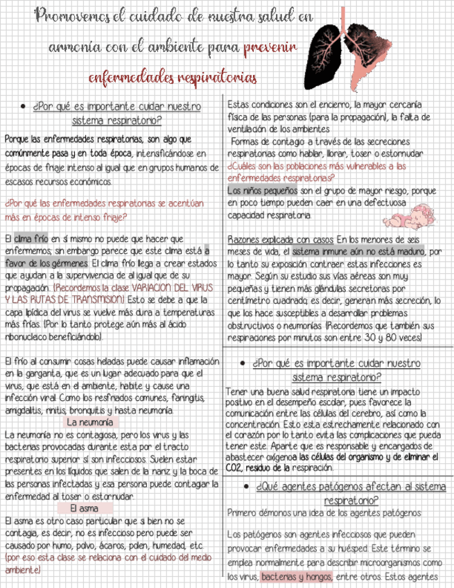 Miniatura del documento ENFERMEDADES-RESPIRATORIAS.pdf