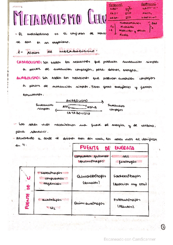 Miniatura del documento METABOLISMO-CELULAR.pdf