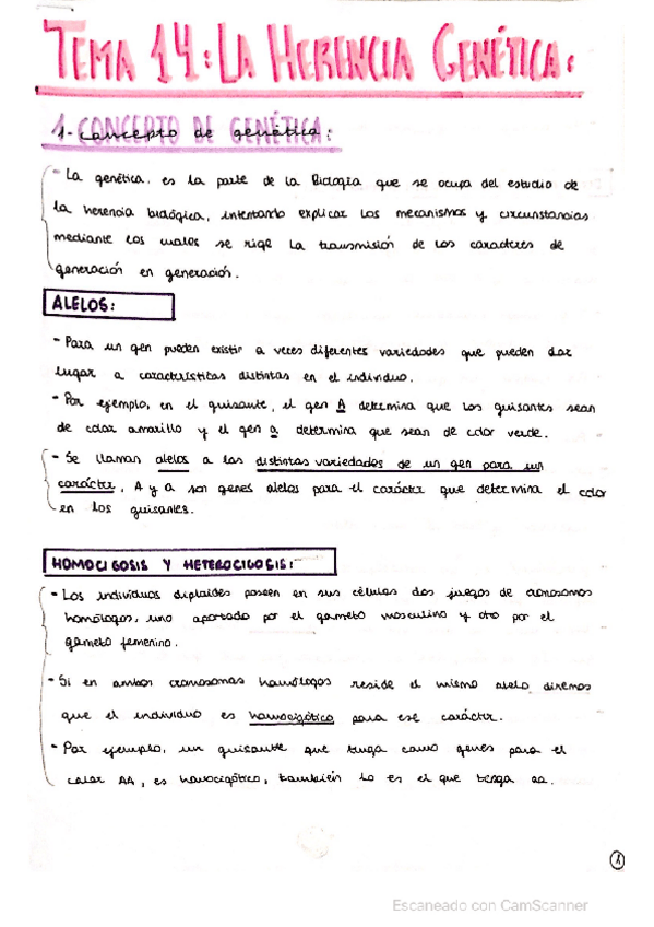Miniatura del documento GENETICA-.pdf