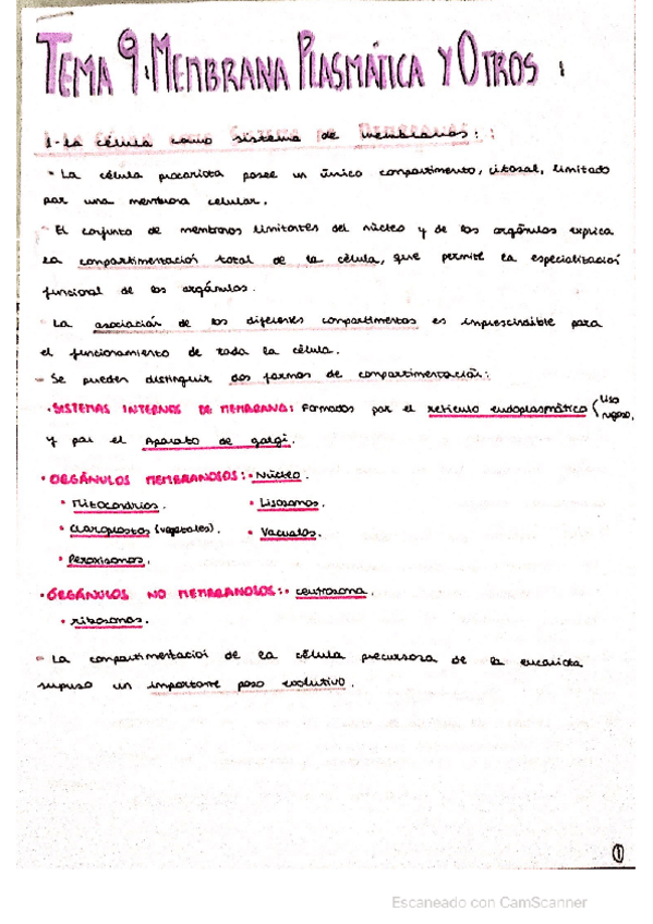 Miniatura del documento ESTRUCTURAS-MEMBRANOSAS.pdf