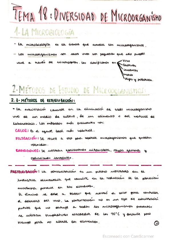 Miniatura del documento MICROBIOLOGIA-.pdf