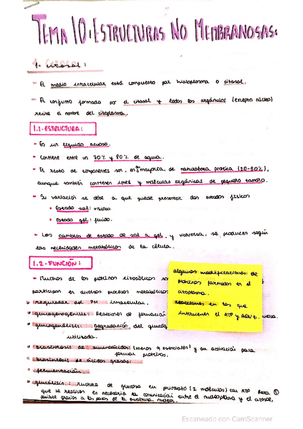 Miniatura del documento ESTRUCTURAS-NO-MEMBRANOSAS.pdf