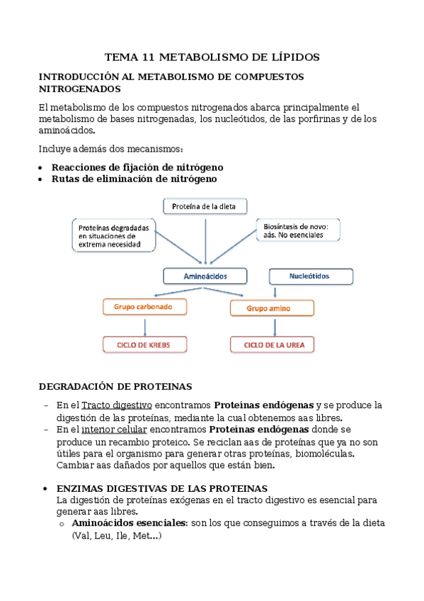 Miniatura del documento TEMA-11-METABOLISMO-DE-LIPIDOS.docx