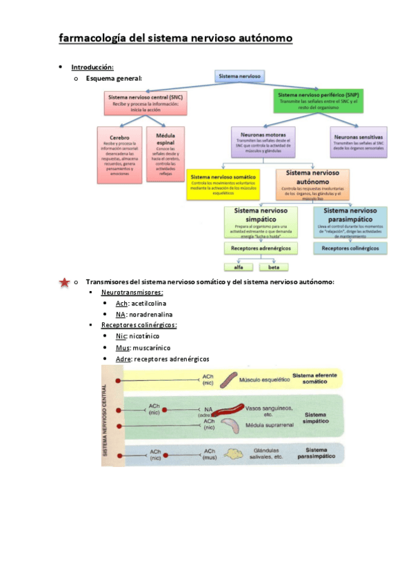 Miniatura del documento farma-SNA.pdf