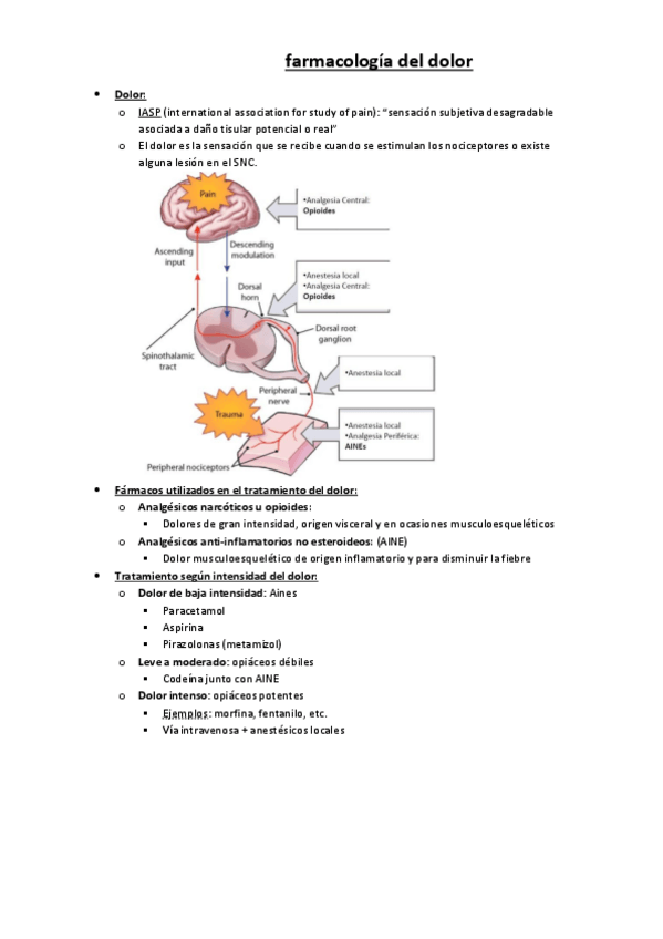 Miniatura del documento farmacologia-del-dolor.pdf