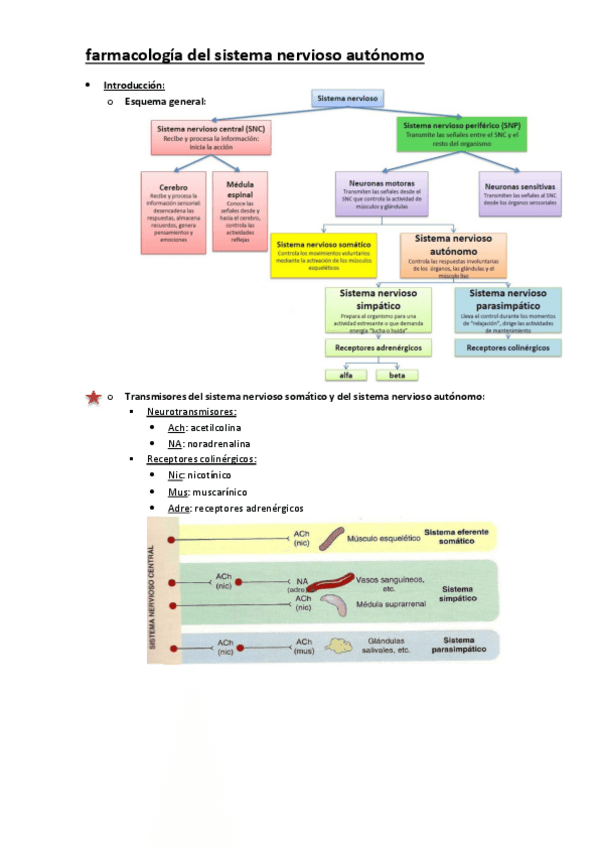 Miniatura del documento farmacologia-del-sistema-nervioso-autonomo.pdf