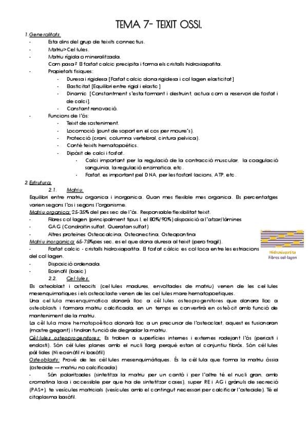 Miniatura del documento TEMA-7-TEIXIT-OSSI.pdf