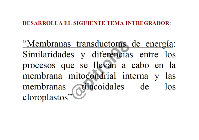 Miniatura del documento BQ-II-Examen-Junio-2021-M.pdf