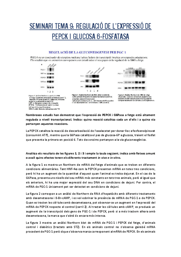 Miniatura del documento Seminari-9.pdf