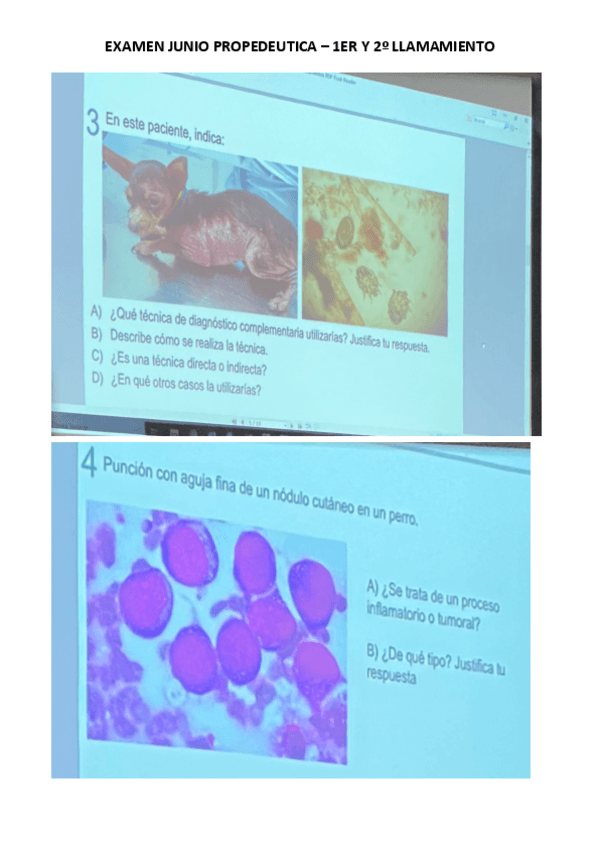 Miniatura del documento PREGUNTAS-PROPE-JUNIO.pdf