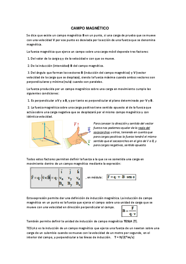 Miniatura del documento C.Magnético.pdf