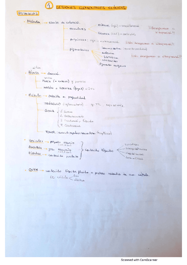 Miniatura del documento Esquemas-dermatologia.pdf