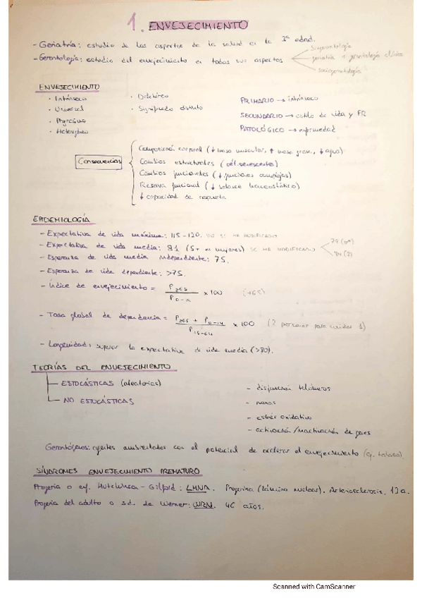 Miniatura del documento Esquemas-geriatria.pdf