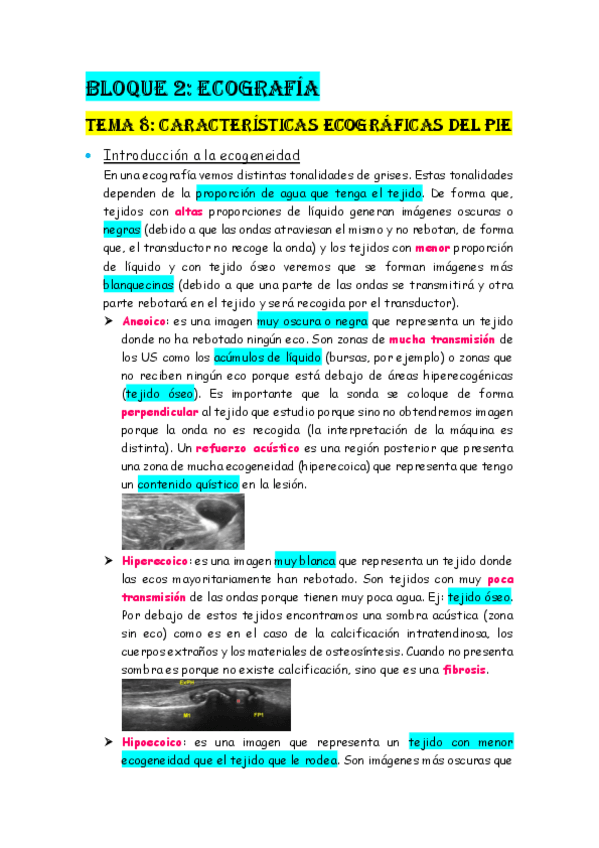 Miniatura del documento BLOQUE-2-ECOGRAFIA.pdf